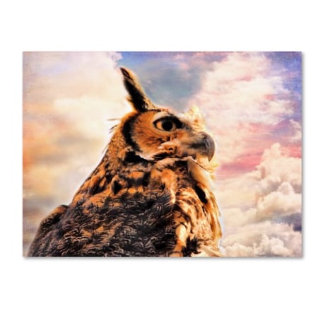 Jai Johnson 'Majestic Great Horned Owl' Canvas Art,18x24